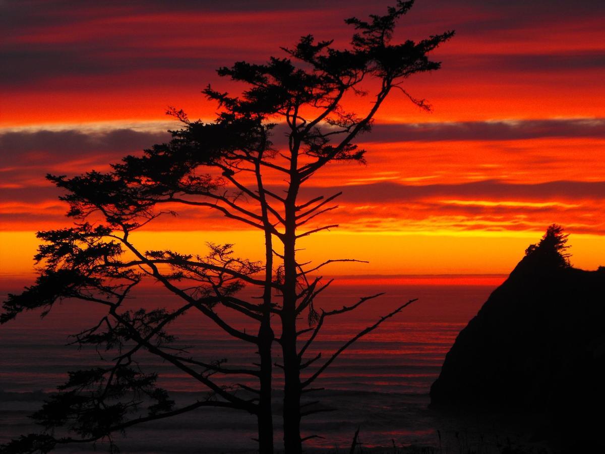 Agate Beach Motel Newport Bagian luar foto